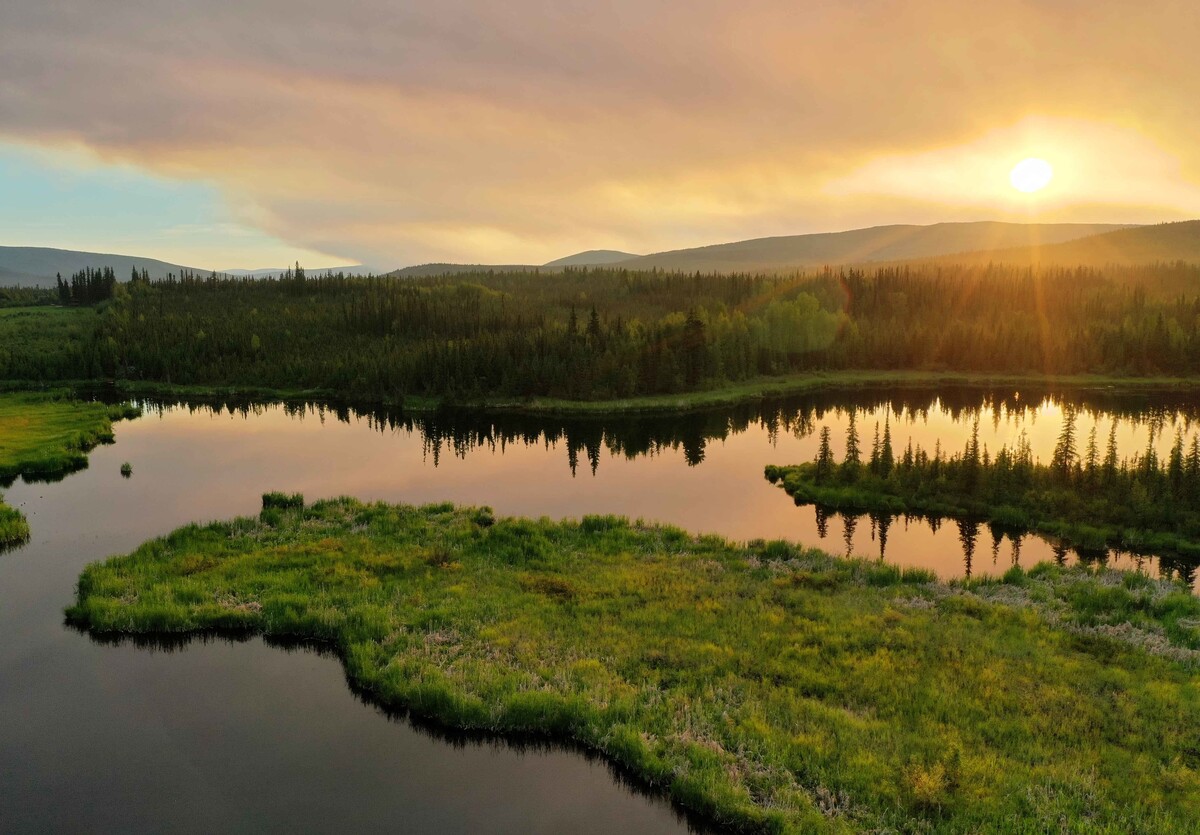 Camille Hobbs Daom — practitioner in Fairbanks, AK